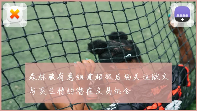 森林狼有意组建超级后场关注欧文与莫兰特的潜在交易机会