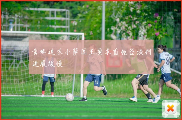 黄蜂追求小萨国王要求首轮签谈判进展缓慢